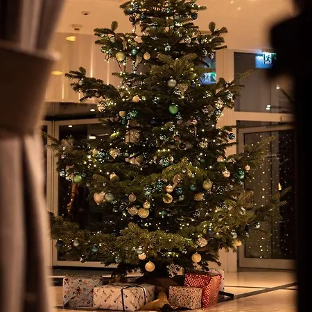 Otel Radisson Blu *